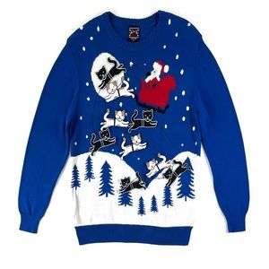 Well Worn Holiday Cats Sleigh Ugly Christmas Sweater